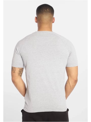 DEF T-Shirts in grey