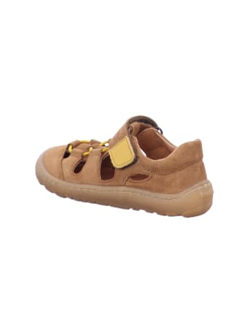 Froddo Sandalen Kinder Barefoot Elastic in Braun