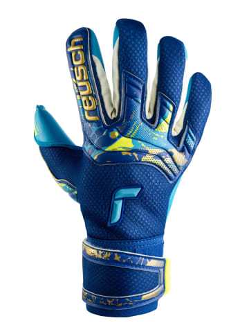 Reusch Torwarthandschuhe Attrakt Aqua in 4433 true blue / gold / aqua b