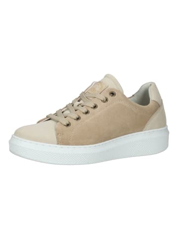 Bullboxer Sneaker in Beige