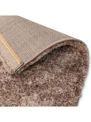 Astra Hochflorteppich SALERNO 1 in Taupe