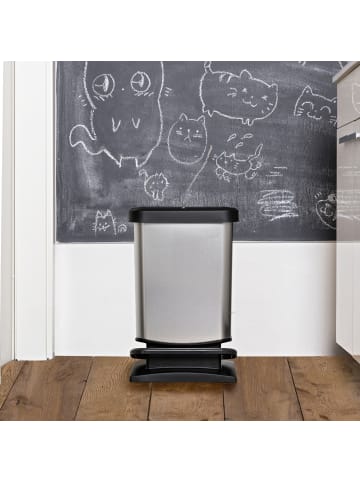 Rotho Paso Mülleimer 20l mit Deckel, Kunststoff (PP recycelt) in Horizontblau