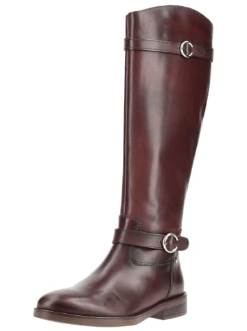 Pikolinos Stiefel PUERTOLLANO W3C in Mittelbraun