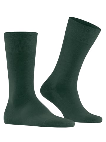 Falke Socken Sensitive Berlin in Hunter gre