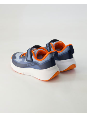Geox Klettschuhe in Blau