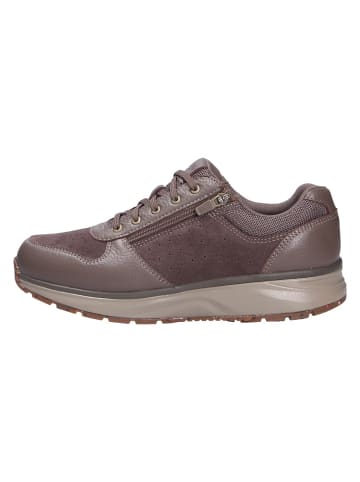 Joya Schnürschuh DYNAMO ZIP M BROWN in braun