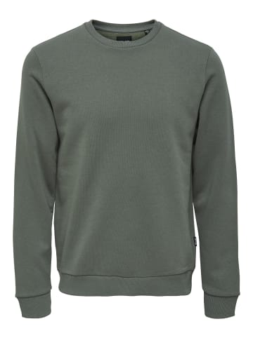 ONLY & SONS Sweatshirt in Castor Gray