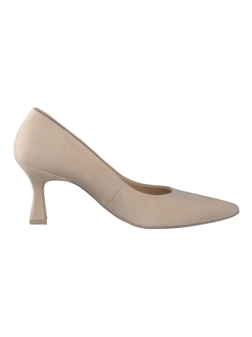 Paul Green Pumps in Beige