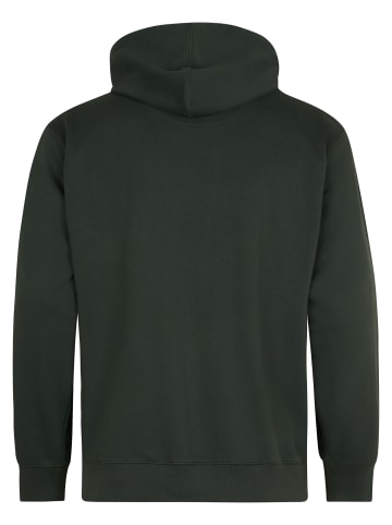 Petrol Industries Hoodie mit Grafikprint in großen Größen ridgeview in Grün