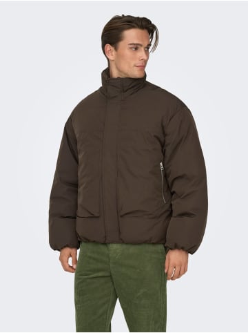 ONLY & SONS Daunenjacke in Coffee Bean