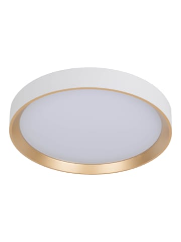näve LED Deckenleuchte "RIO" in gold - (L)38.3 cm x (B)38.3 cm x (H)7.5 cm - EEK B