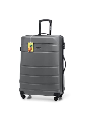 Wittchen Globe line Collection in Gray 2