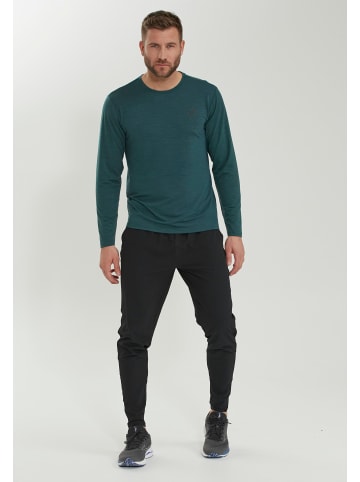 Virtus Funktionsshirt JOKERS M L/S in 3153 June Bug