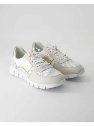 Sioux Slip On Sneaker in Beige