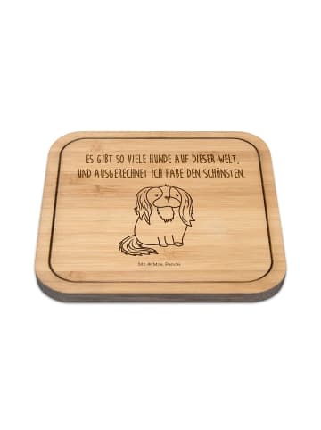 Mr. & Mrs. Panda Coaster Hund Cavalier King Charles Spaniel mit ... in Transparent