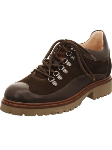 Werner Schnürschuhe in braun