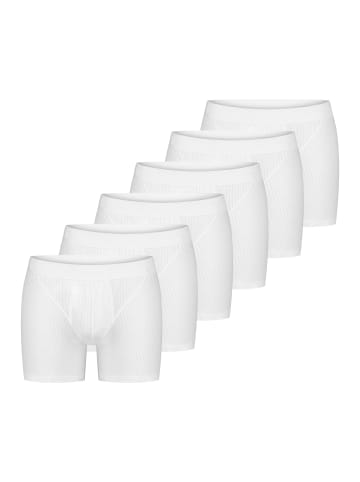 Schiesser Retro Short / Pant Cotton Essentials Authentic in Weiß