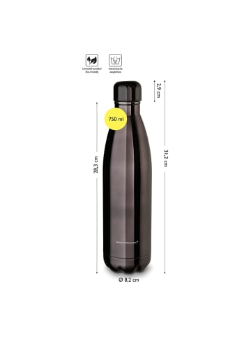 Echtwerk Trinkflasche "Shiny" 750 ml in Schwarz