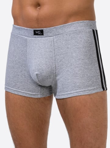 WITT WEIDEN Pants in grau-meliert