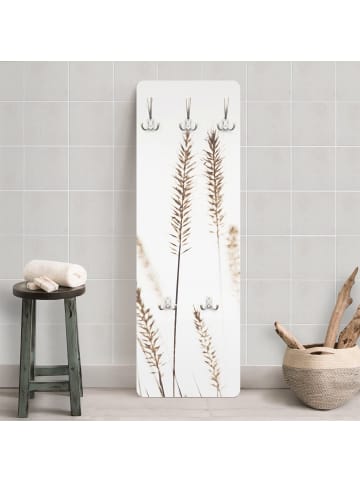 WALLART Garderobe - Getrocknetes Kammgras in Creme-Beige