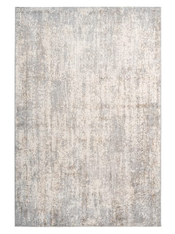 obsession Teppich Sail 702 in taupe - rechteckig
