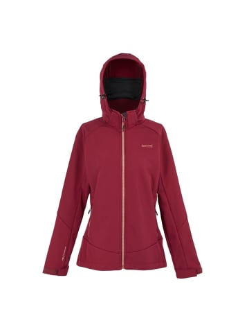 Regatta Softshelljacke Desoto X in Rumba Red