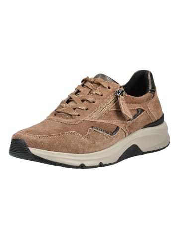 Gabor Sneaker in Nut