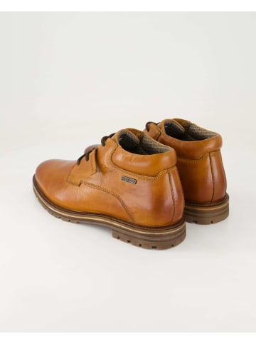 SALAMANDER Stiefeletten in Braun