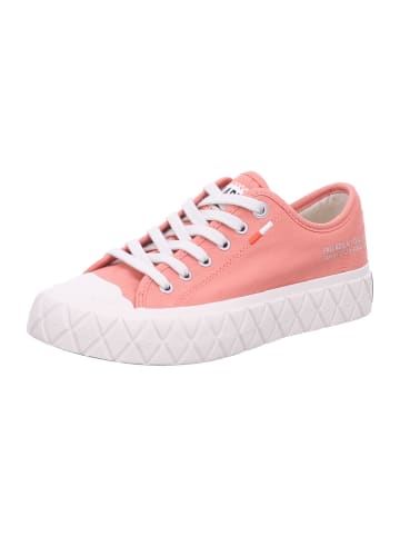 Palladium Sneaker Low in rot