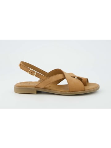 Paul Green Sandalette in braun