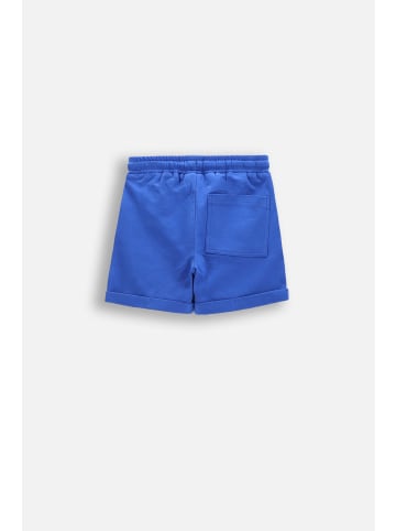 Coccodrillo Kurze Hosen in blau