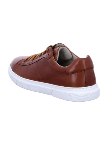Pius Gabor Sneaker Low in Braun