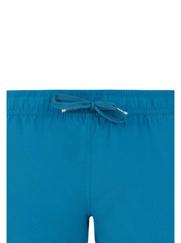 Protest " PRTEVI in Raku Blue