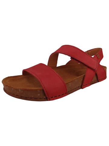 El Naturalista Sandalen rot