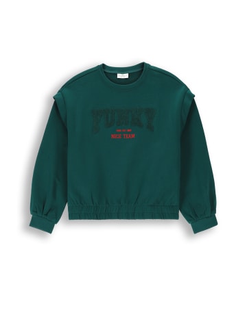 Coccodrillo Sweatshirt in grün