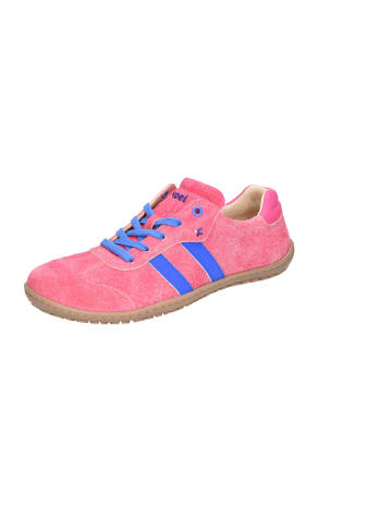 KOEL Schnürschuh in pink