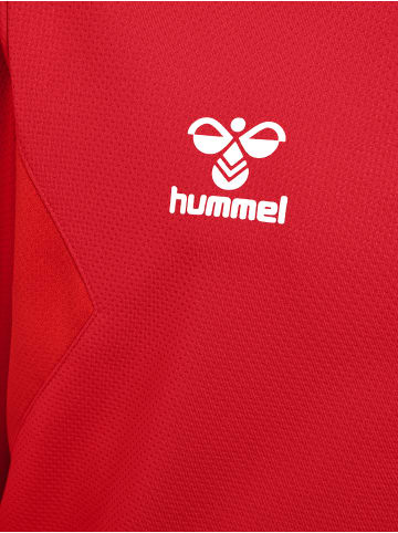 Hummel Hummel Sweatshirt Hmlauthentic Multisport Kinder in TRUE RED