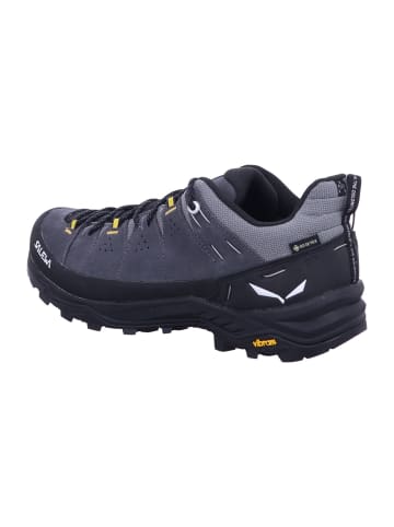 Salewa Wanderschuhe ALP TRAINER 2 in Grau
