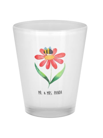 Mr. & Mrs. Panda Schnapsglas Hummel Blume ohne Spruch in Transparent