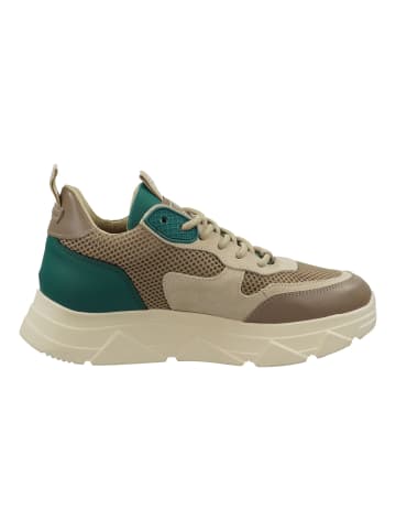 Steve Madden Sneaker Beige