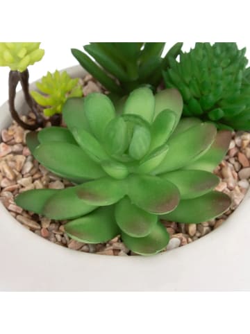 Atmosphera Créateur d'intérieur Künstliche Pflanze in einem Zementtopf in Grün, Ø 12 cm