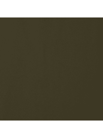 SAVE THE DUCK Parka Wilson XT in dunkelgruen