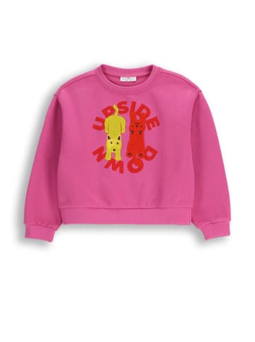 Coccodrillo Sweatshirt ohne Kapuze in rosa