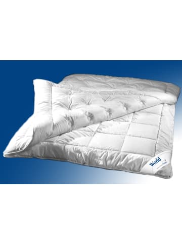 Cats Collection Vier-Jahreszeiten-Steppbett World 155x220 cm in weiß