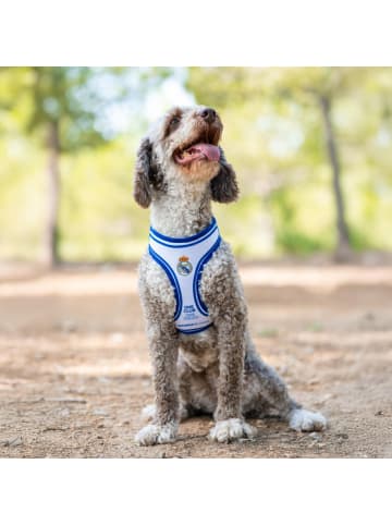 COFI 1453 Real Madrid Hundegeschirr S/M Verstellbar & bequem für Hunde in Mehrfarbig