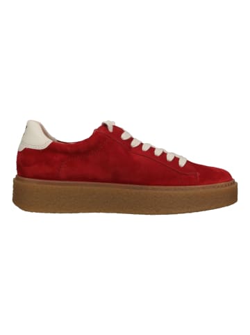 Paul Green Sneaker in Rot/Weiß