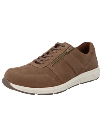 Solidus Sneaker Low in braun
