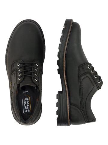 Camel Active Oxford Schnürschuhe aus echtem Leder in Schwarz