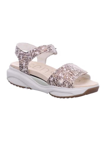 Xsensible Komfort Sandale in beige