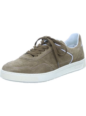 Sioux Sneaker in braun
